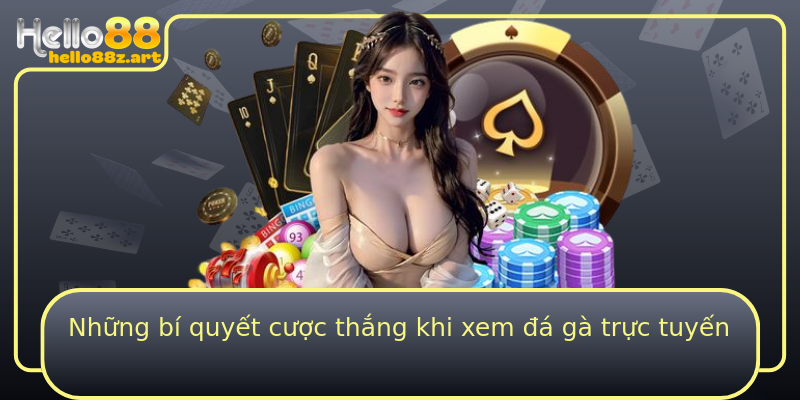 Những bí quyết cược thắng khi xem đá gà trực tuyến