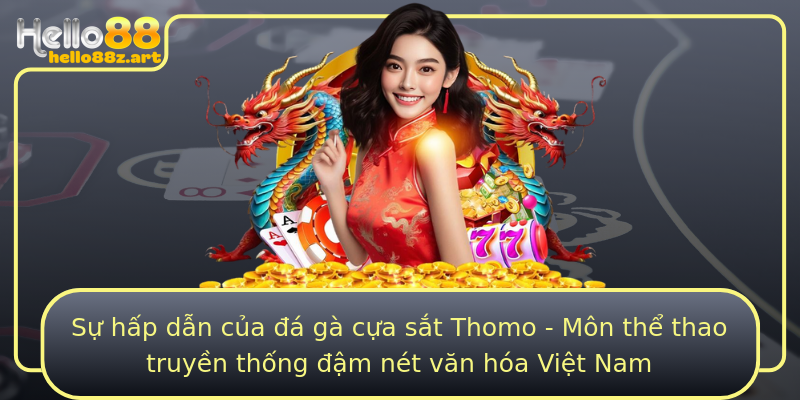 Sự hấp dẫn của đá gà cựa sắt Thomo - Môn thể thao truyền thống đậm nét văn hóa Việt Nam