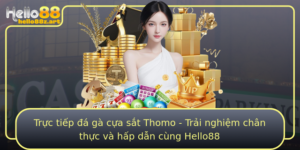 Truc Tiep A Ga Cua Sat Thomo Trai Nghiem Chan Thuc Va Hap Dan Cung Hello88